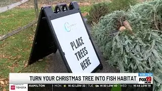 Donated Christmas trees to become underwater habitat for local wildlife