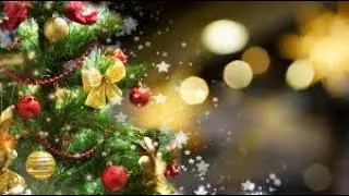 🎄Neuzugänge und Weihnachtsgeschenke im Dezember 2025🎄