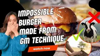 Impossible Burger - Plant-based burger patty with genetically engineered yeast to produce heme.