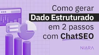 Como gerar Dados Estruturados em apenas 2 passos com a IA da Niara