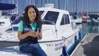 New Win: Oil Giant Valero, Amports Settle Lawsuit Over Bay Pollution