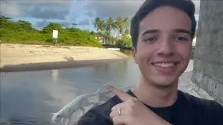 Saiba o jogo que você quer jogar (e não pare).