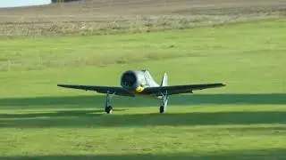 Black Horse Focke Wulf FW 190A 2,6m