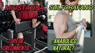 💚 El SECRETO para CONSTRUIR M&Uacute;SCULO R&aacute;pidamente! | SULFORAFANO | PorteNutricio
