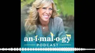 Geographical Place Names with Animal Origins
