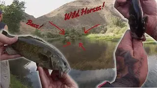 Bass Fishing the Carson River! First Time with BigDaddy Bruce's POV!