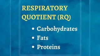 What is Respiratory Quotient | How to Calculate Respiratory Quotient for Carbohydrate, Protein & fat