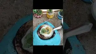 Mini Omlette #food #shorts #viral #wowminikitchen