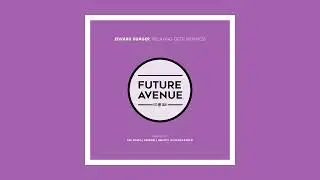 Edvard Hunger - My Spring (Nnikitin Remix) [Future Avenue]