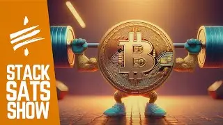 BITCOIN PUMPING YOUR PURCHASING POWER! - STACK SATS SHOW (10/8/24) EP.306