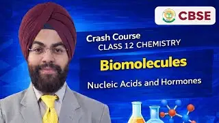 Biomolecules | Part 3: Nucleic Acids & Hormones | Class 12 Chemistry