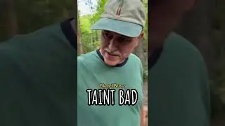 Taint Bad