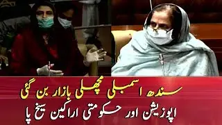 Exchange of words between MPA's during Sindh Assembly session