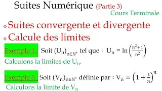 Suites Numériques - Convergence, divergence et limites (Exemple détaillés)
