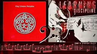 DISCIPLINE-King Crimson (Bass Cover) Bass Tab / Transcription #basscover #TonyOnBass