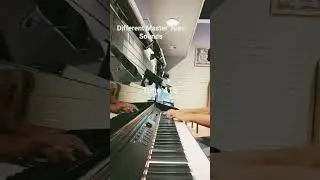 || Different tunes || #fyp #beethoven #moonlightsonata #playjf #music #tuning