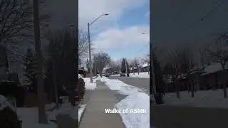 ASMR: Walking After a Snowstorm On a Sunny Day ❄️⛅️ #winter #walking #asmr #asmrvideo #asmrsound
