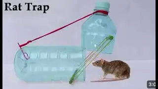  Home made Mouse trap 