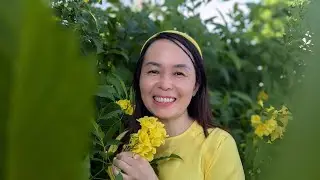 LÀM SAO ĐỂ KẾT NỐI VỚI MỤC ĐÍCH SỐNG ?
