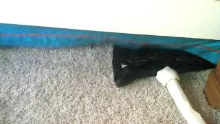 Boomer hides at bath time.