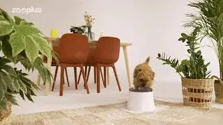 Pioneer Pet Vortex Trinkbrunnen