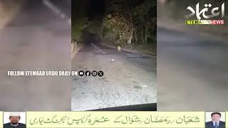 Leopard Spotted on Road in Kamareddy Mangaram Forest Area