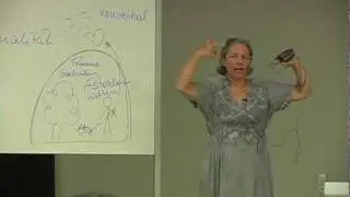 Ruth Huber : 6 / 6 Praktische Schritte auf dem geistigen Weg --