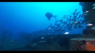 DESTINATION DIVE EP2504 1 BIG PINE KEY