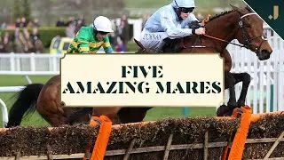 Five of the BEST Close Brothers Mares' Hurdles at the Cheltenham Festival
