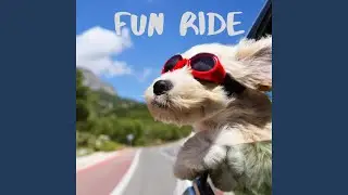 Fun Ride