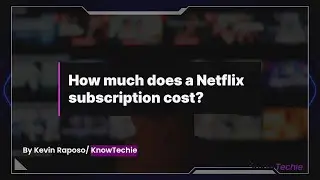 How much does a Netflix subscription cost?