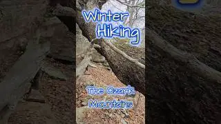 Hiking The Ozark Mountains In Winter #hiking #crunchingsounds #trekking  #shorts #asmr #winterhike