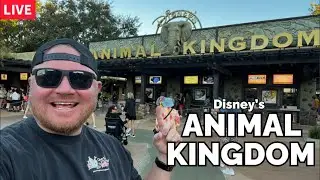 🔴LIVE: SURPRISE! Rope Drop at Disney&rsquo;s ANIMAL KINGDOM! Walt Disney World Live Stream #disneyworld