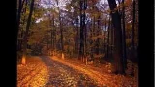 Bee Gees Country Lanes (Subtitulado en Espa&ntilde;ol)