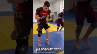 Тренировка бойца мма. #shorts