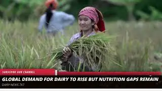 US second‑largest whey exporter to India since long&mdash;so why &lsquo;non‑veg milk&rsquo; concerns now?