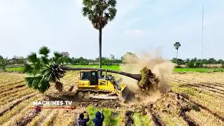 WOW! OMG!! Unexpected Bulldozer Gone Wrong Land Filling Up SHANTUI Bulldozer & 25 Ton Truck
