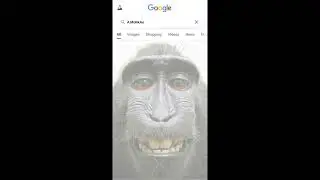 Meet my friend called MoNkAe