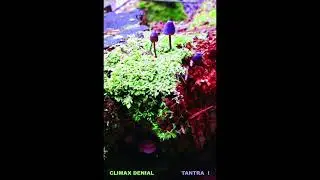 Climax Denial - Tantra I [Full Tape 2013]