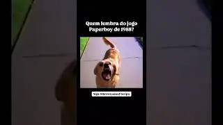 Acredita que fizeram um jogo sobre ENTREGAR JORNAIS? 🤯