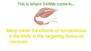 SARMs Education 101: The Interesting History of Sarms