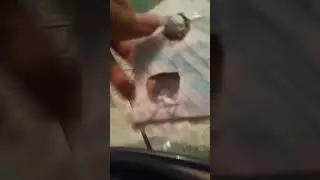 como fazer um pop it  caseiro em casa!veja esse v&iacute;deo e fa&ccedil;a na sua casa se quiser!,pt2