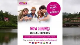 Local Expert
