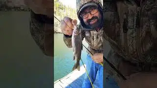 The 2 Baits That Crushed Trout at Lake Taneycomo #joeloshotz