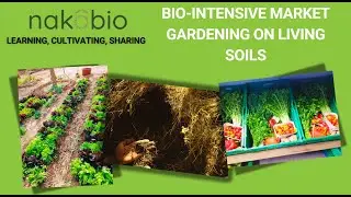 Bio Intensive Market Gardening in Living Soil - Training