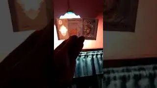 непромокаемые и немнущиеся банкноты  ринггиты. super money