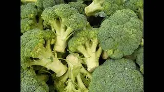 broccoli