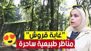 وكأنك في عالم آخر 🥰 غابة 