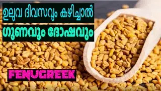 ഉലുവ ദിവസവും കഴിച്ചാൽ ഗുണവും ദോഷവും #what happens if you eat fenugreek daily #FENUGREEK