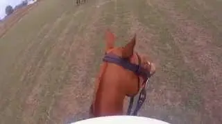 Polo Practice Chukkers @ Shongweni